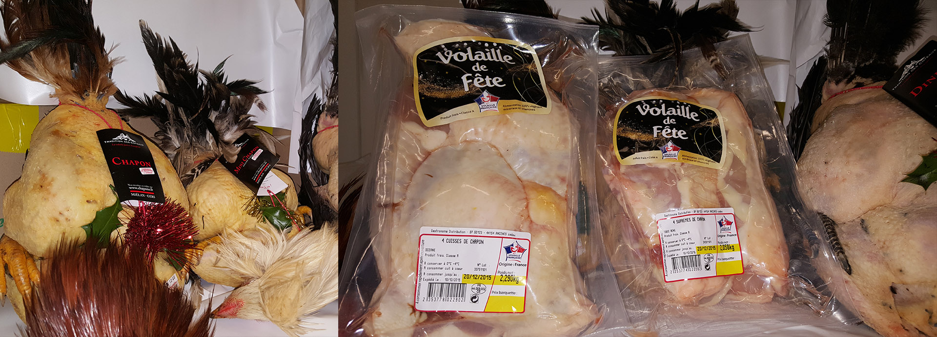Morel Volailles